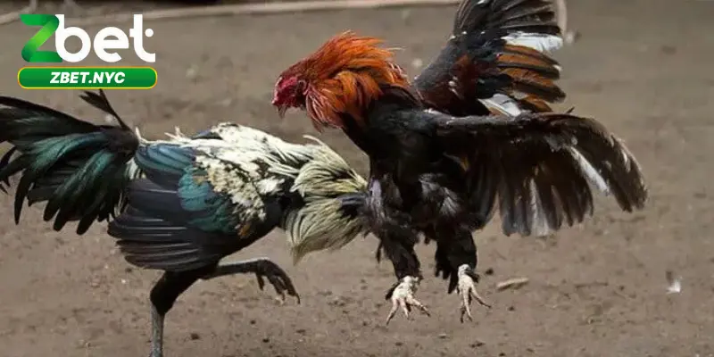 Ưu điểm nổi bật về giao diện dễ tham gia