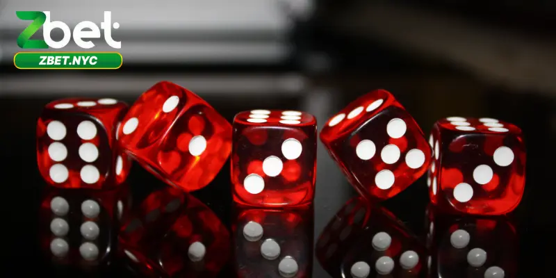 Bí quyết chơi tài xỉu Zbet hiệu quả giúp bạn thắng lớn
